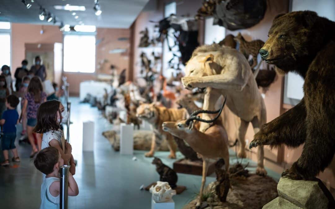 Muséum d’Histoire Naturelle